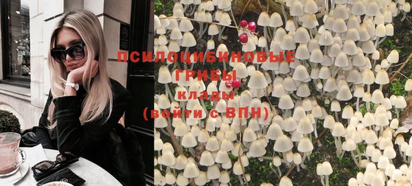 героин Пересвет