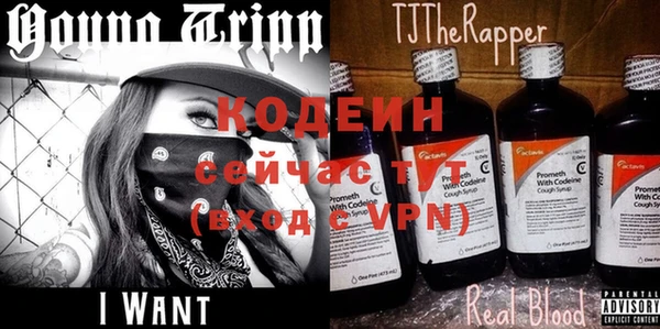 спиды Пестово