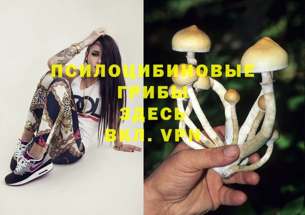 спиды Пестово