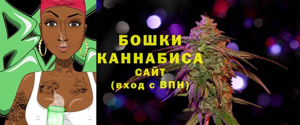спиды Пестово