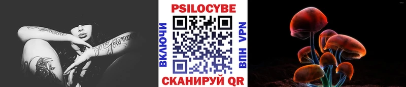 Галлюциногенные грибы прущие грибы Сусуман